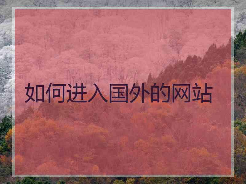 如何进入国外的网站