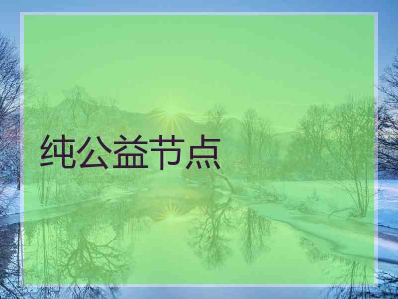 纯公益节点