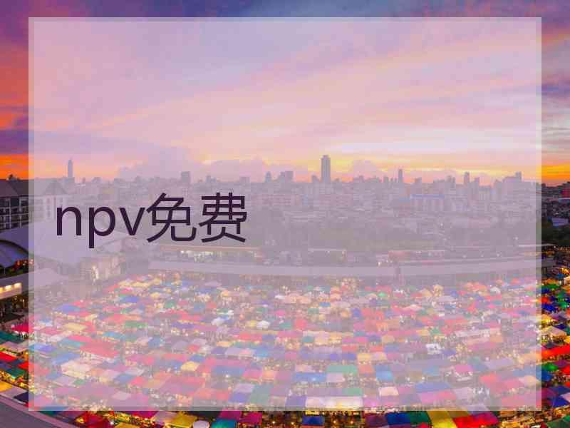 npv免费