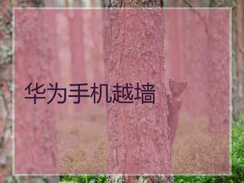 华为手机越墙