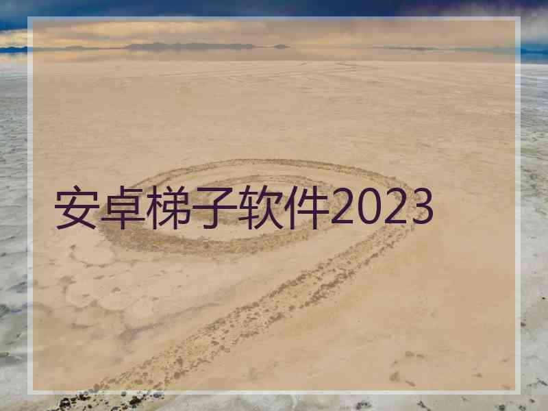 安卓梯子软件2023