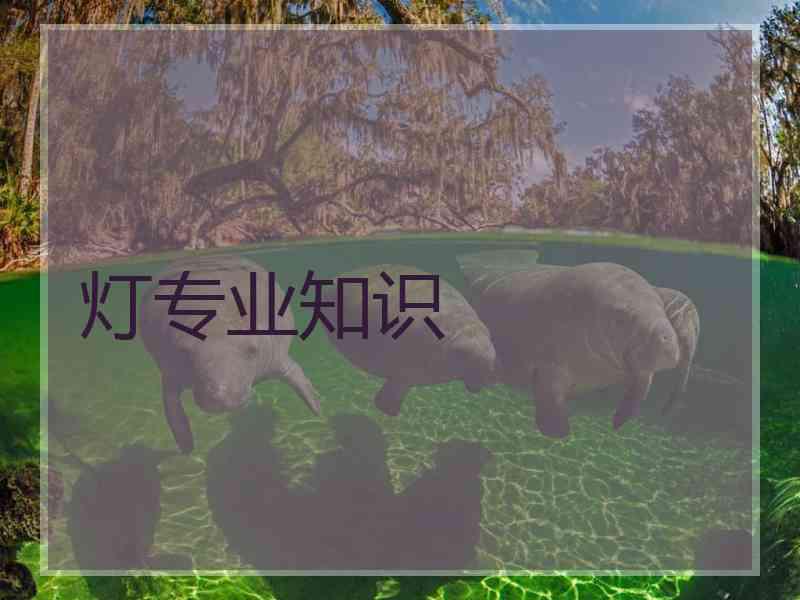 灯专业知识