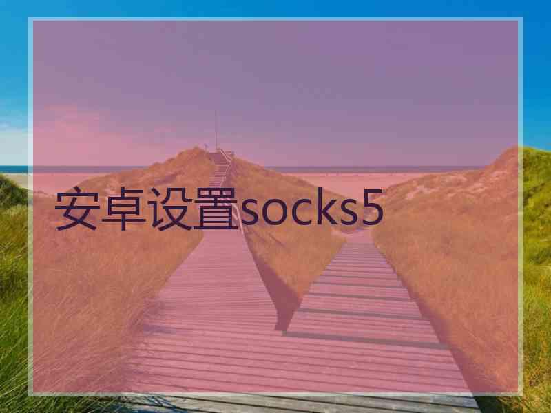 安卓设置socks5