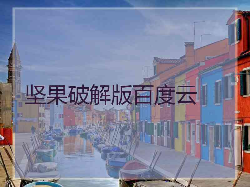 坚果破解版百度云
