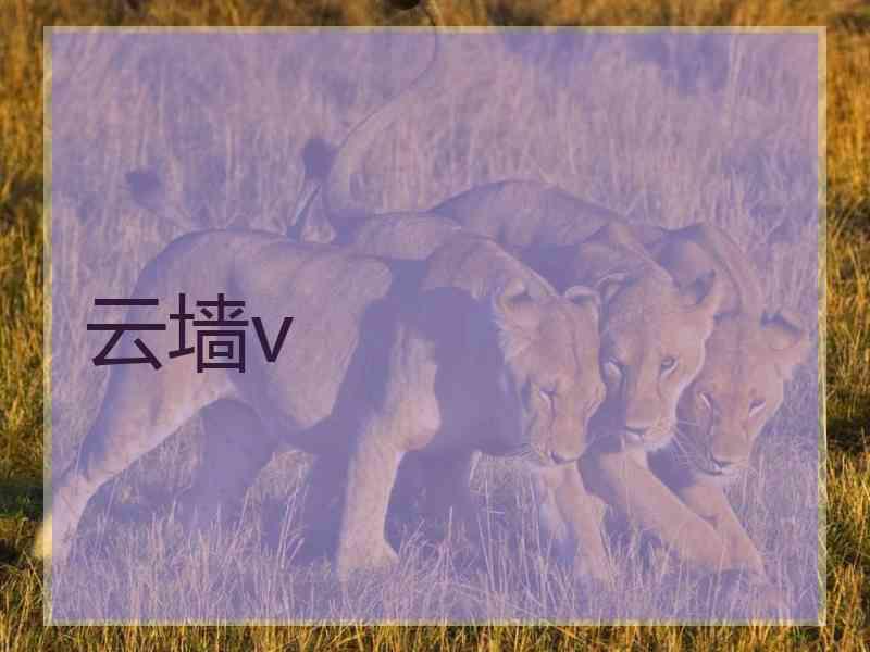 云墙v