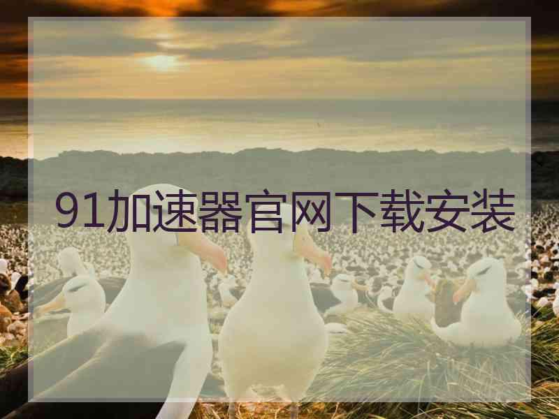 91加速器官网下载安装
