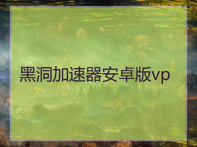 黑洞加速器安卓版vp