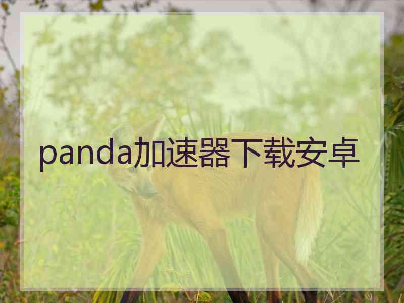 panda加速器下载安卓