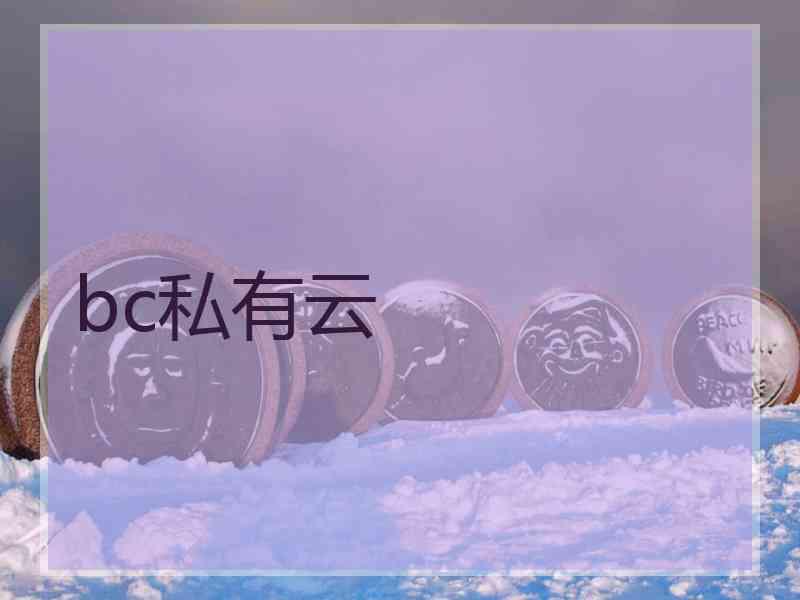 bc私有云