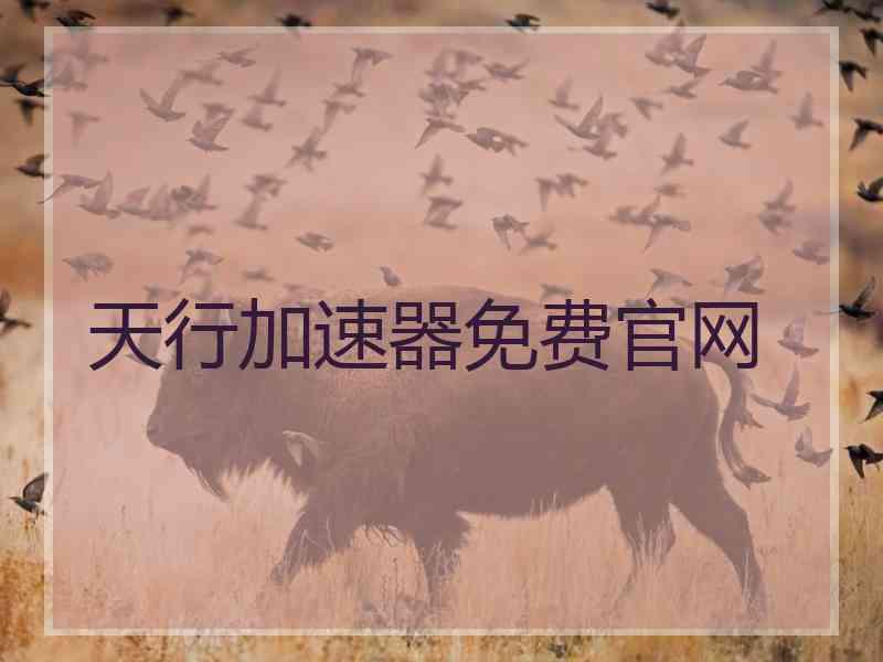 天行加速器免费官网