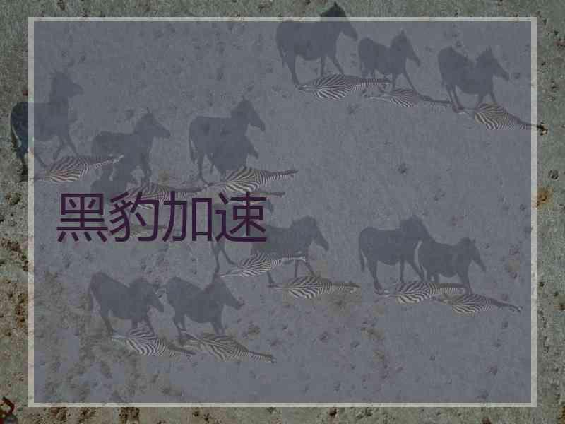 黑豹加速