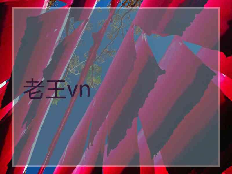 老王vn