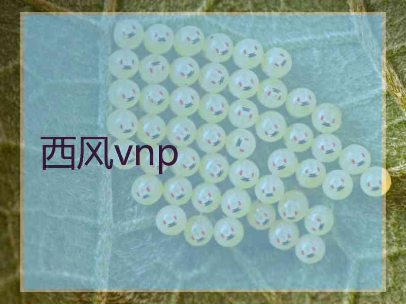 西风vnp
