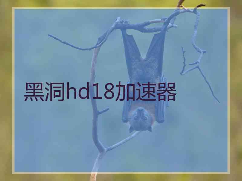 黑洞hd18加速器