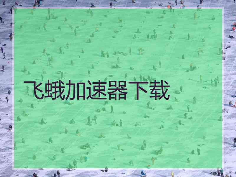 飞蛾加速器下载