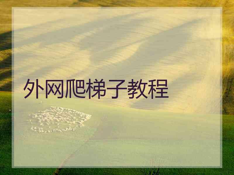 外网爬梯子教程