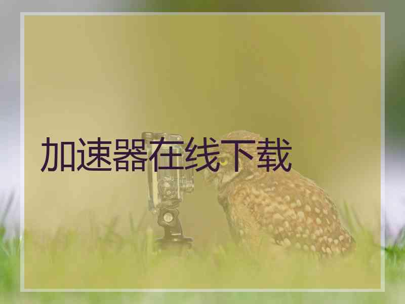 加速器在线下载