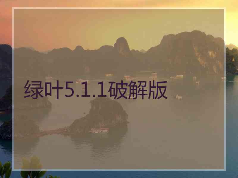 绿叶5.1.1破解版