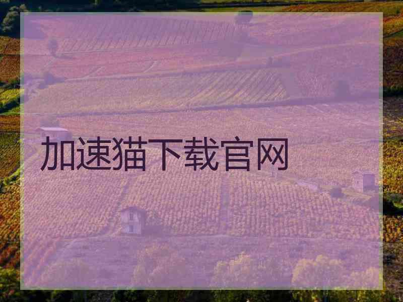 加速猫下载官网