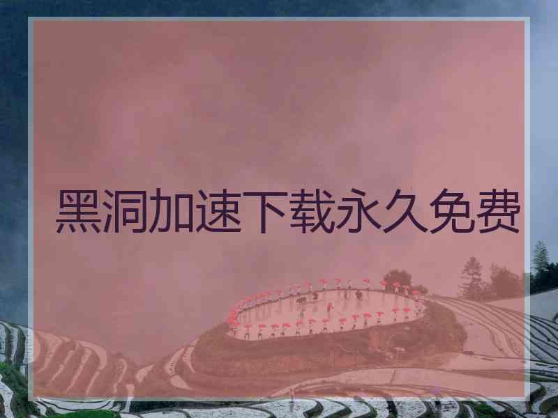 黑洞加速下载永久免费