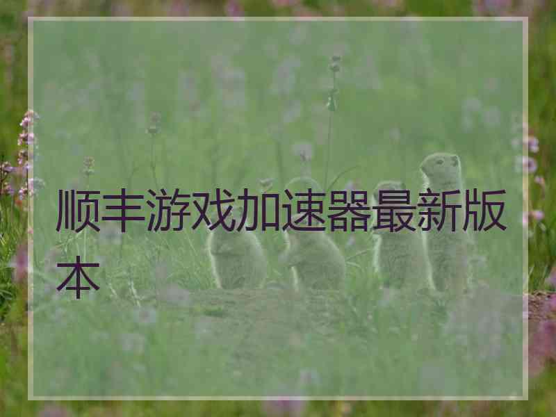顺丰游戏加速器最新版本
