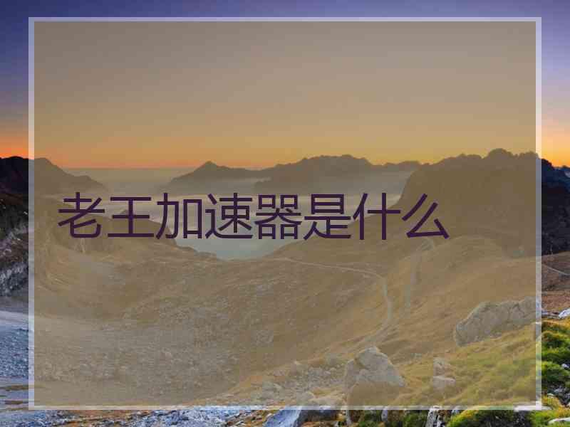 老王加速器是什么