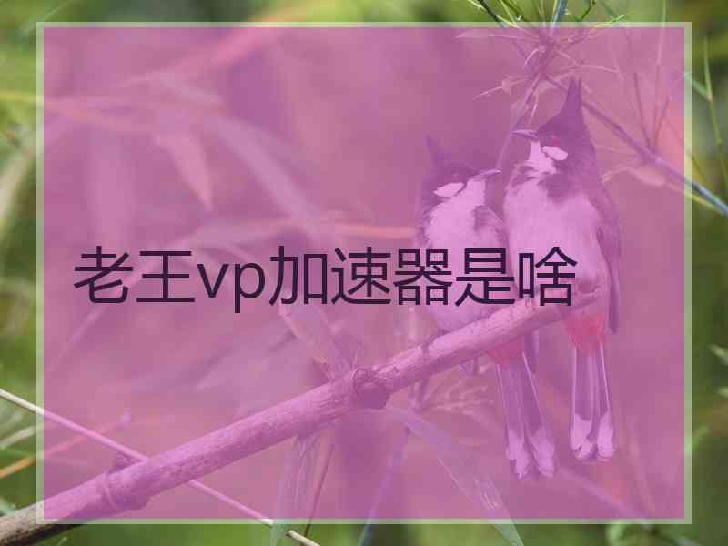 老王vp加速器是啥