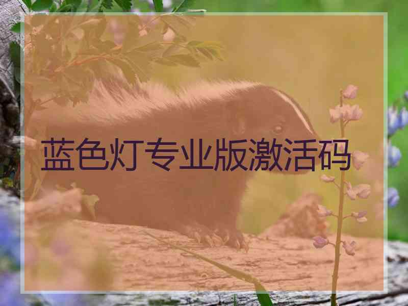 蓝色灯专业版激活码