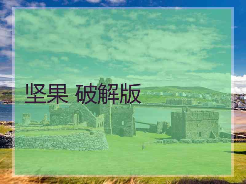 坚果 破解版