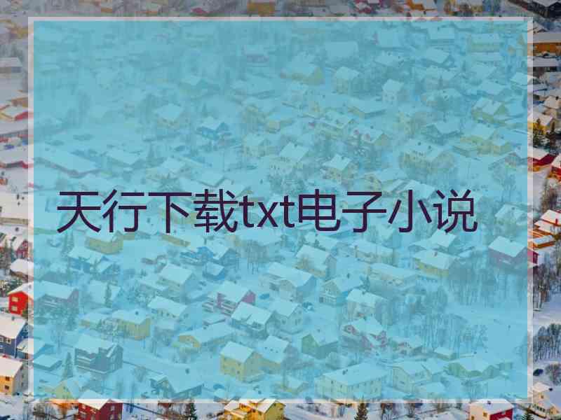 天行下载txt电子小说