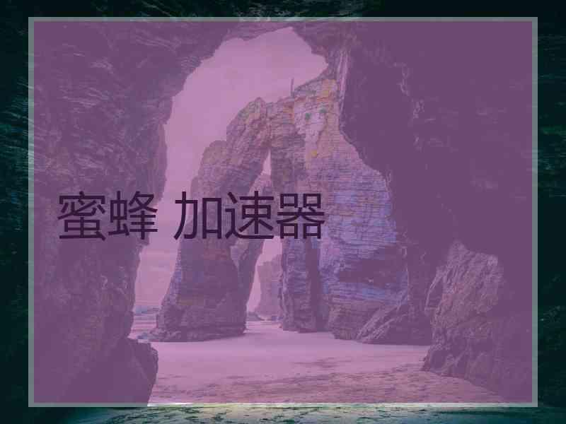 蜜蜂 加速器