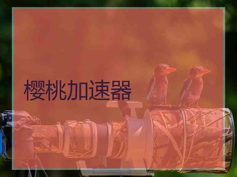 樱桃加速器