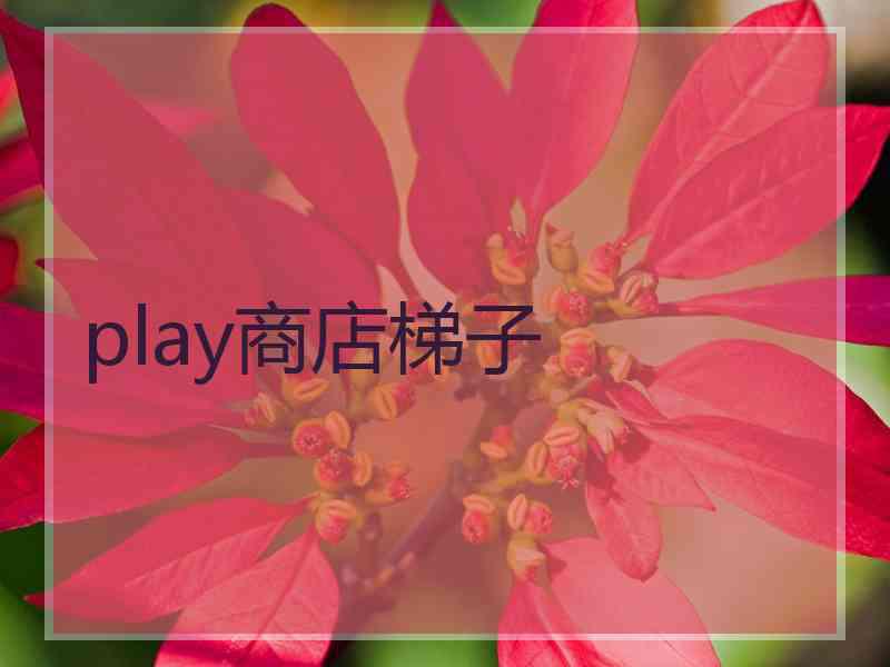 play商店梯子
