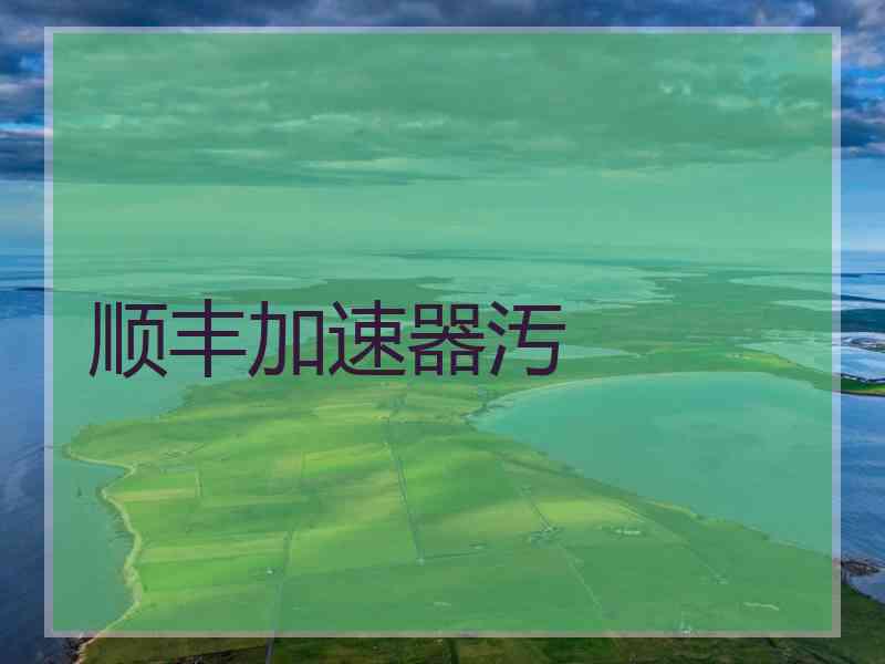 顺丰加速器汚