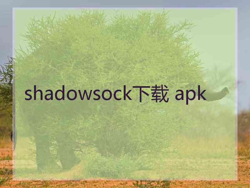 shadowsock下载 apk