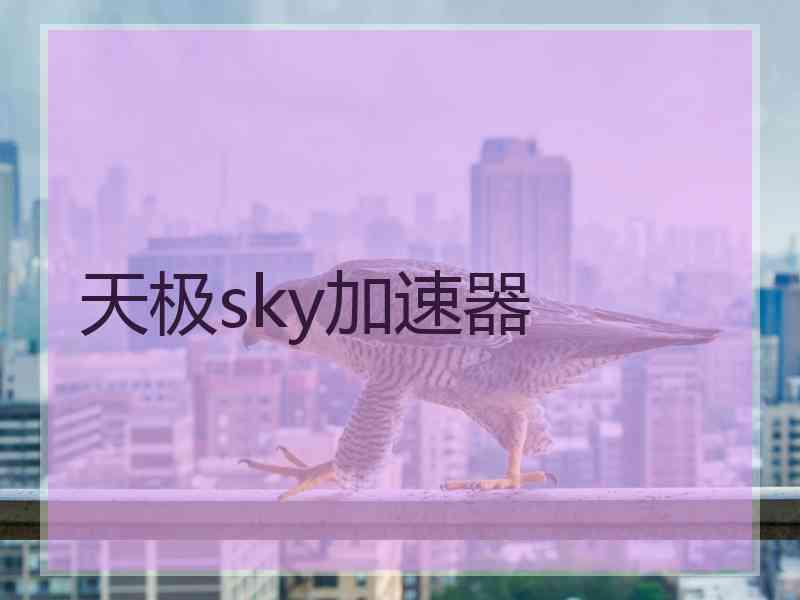 天极sky加速器