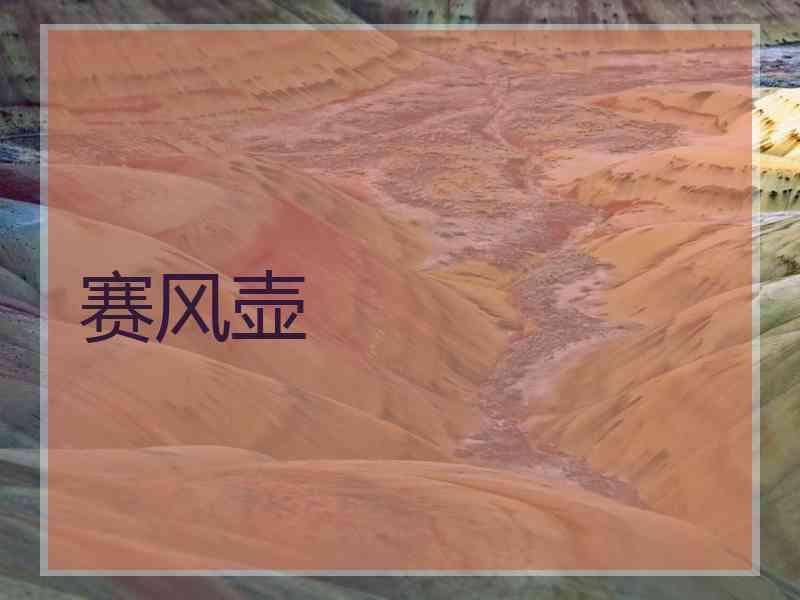 赛风壶