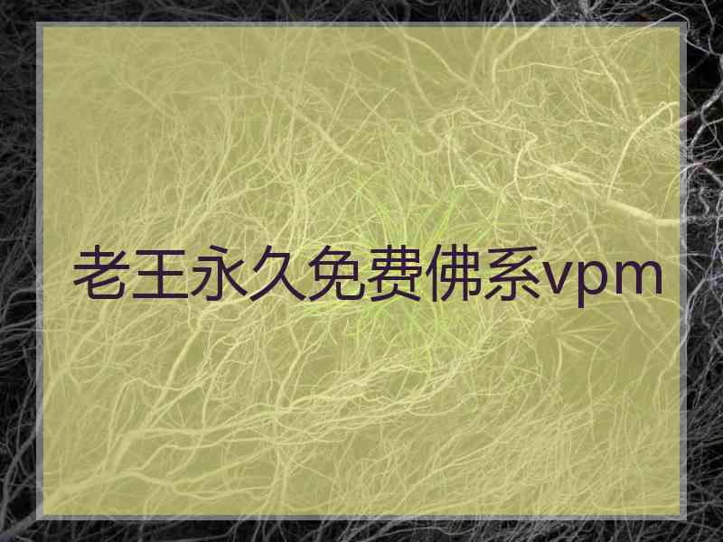 老王永久免费佛系vpm