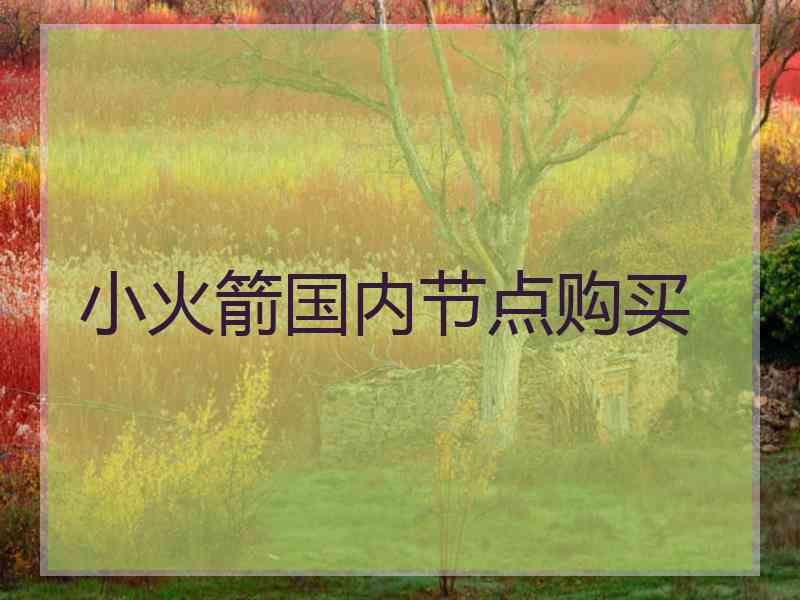小火箭国内节点购买