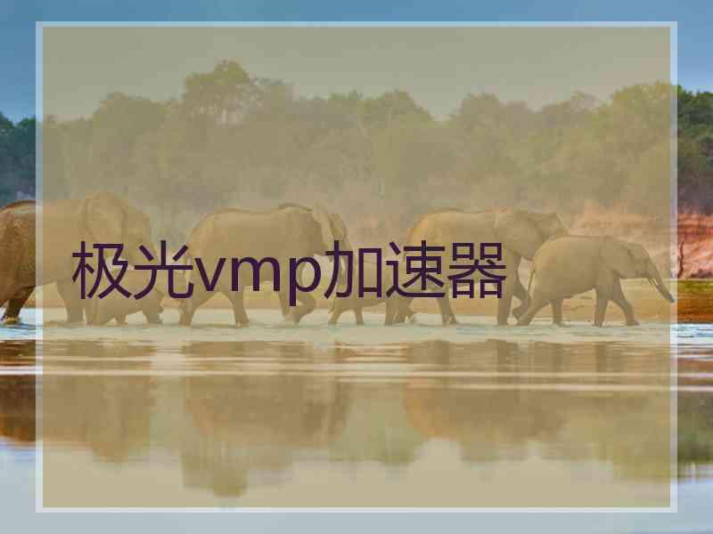 极光vmp加速器