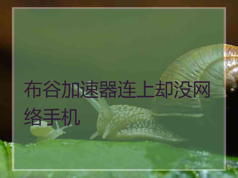 布谷加速器连上却没网络手机