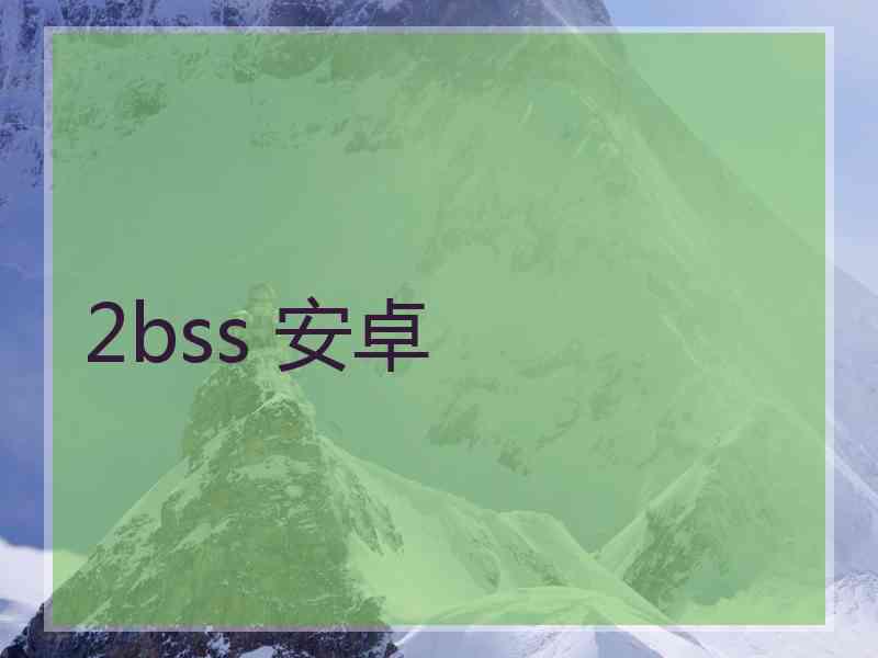 2bss 安卓
