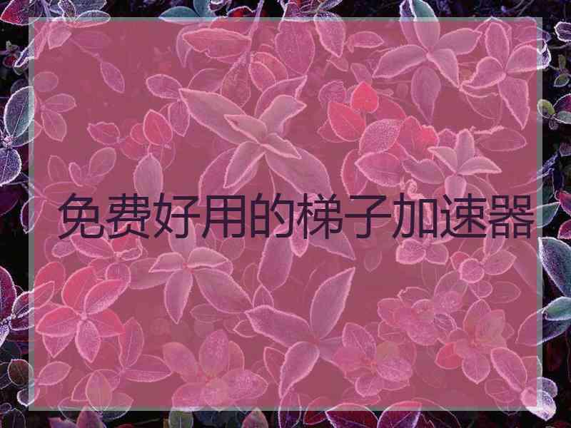 免费好用的梯子加速器