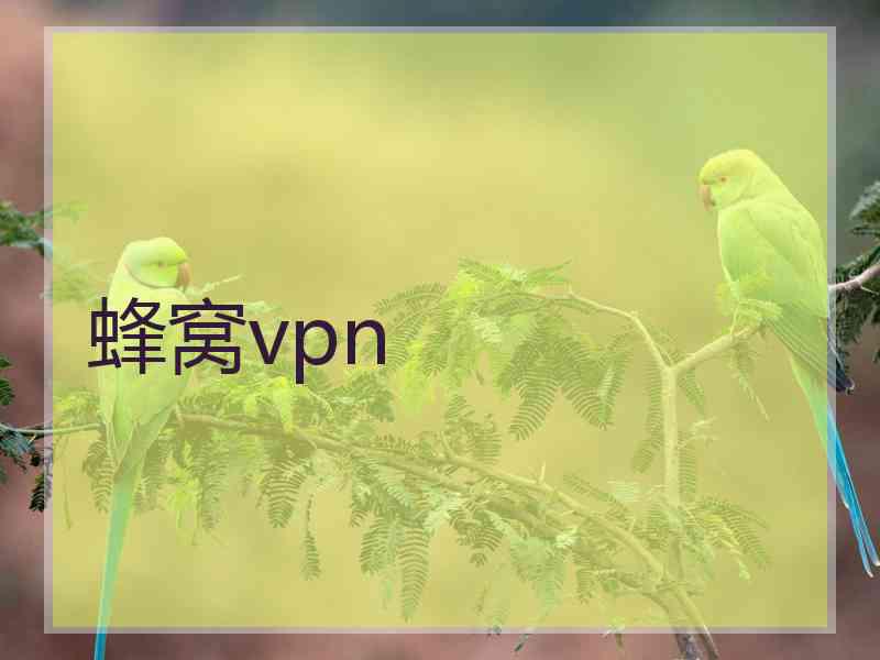 蜂窝vpn