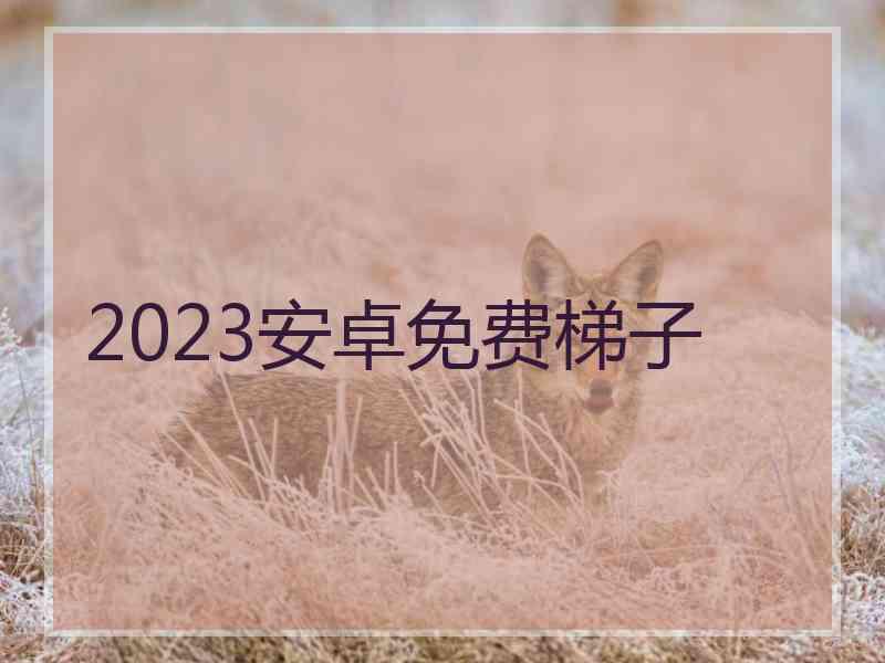 2023安卓免费梯子