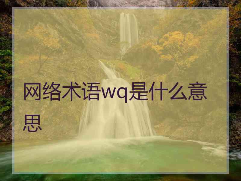 网络术语wq是什么意思