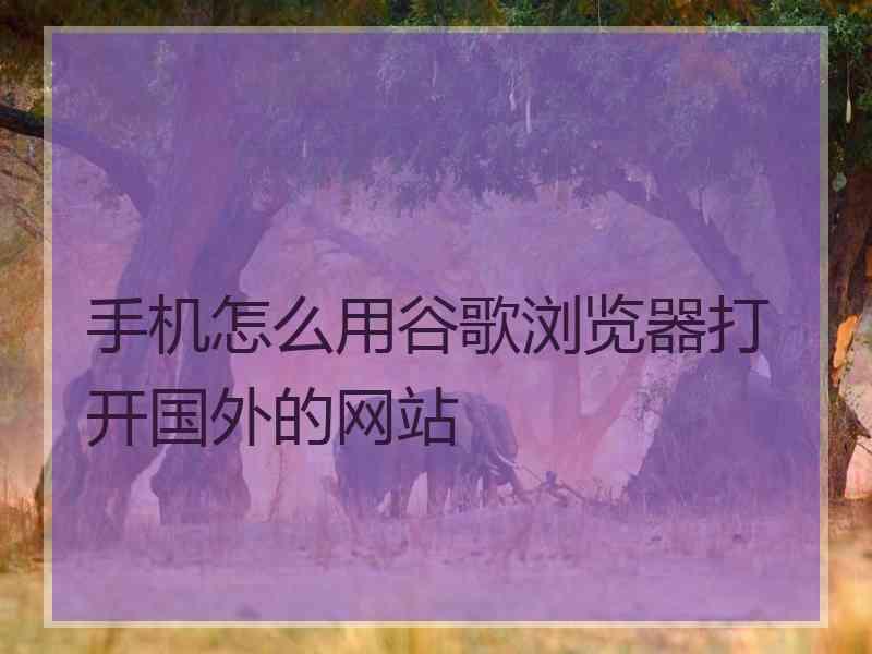 手机怎么用谷歌浏览器打开国外的网站