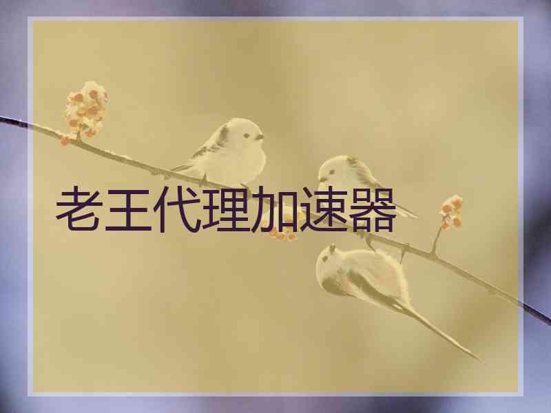 老王代理加速器