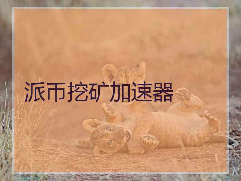 派币挖矿加速器