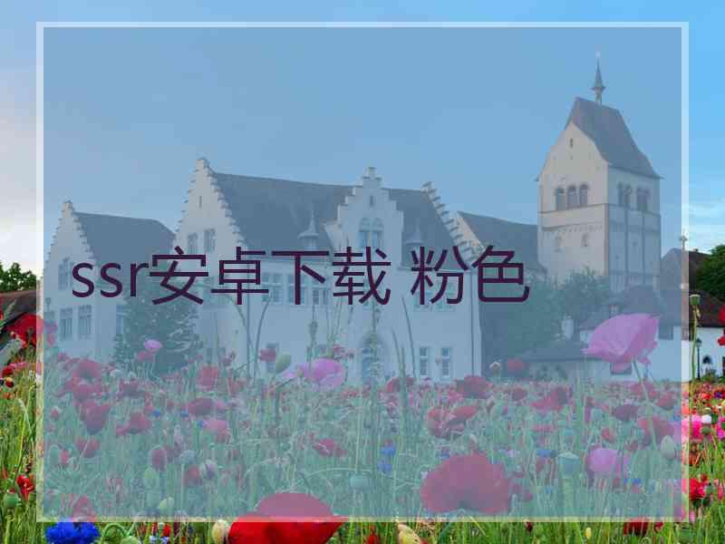 ssr安卓下载 粉色